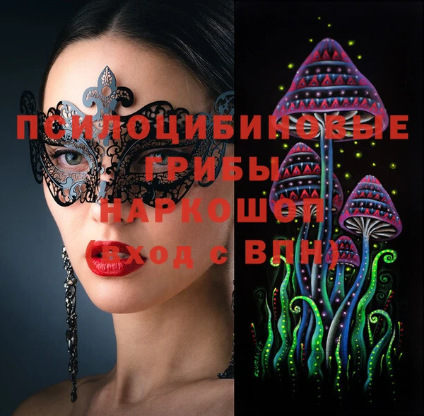 гашик Балахна