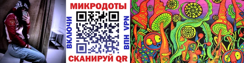 купить наркотики сайты Покровск гидра вход Псилоцибиновые грибы Cubensis